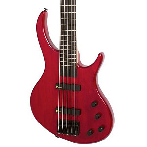 Epiphone Toby Deluxe V 5-String Bass Guitar